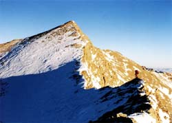برنامه های کارگروه کوهپیمایی باشگاه کوهنوردی و اسکی دماوند