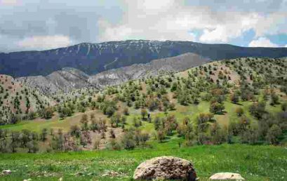 سیمرغ کوه های ایران،پیمایش قله کانی صیفی با سیامک شایان پور